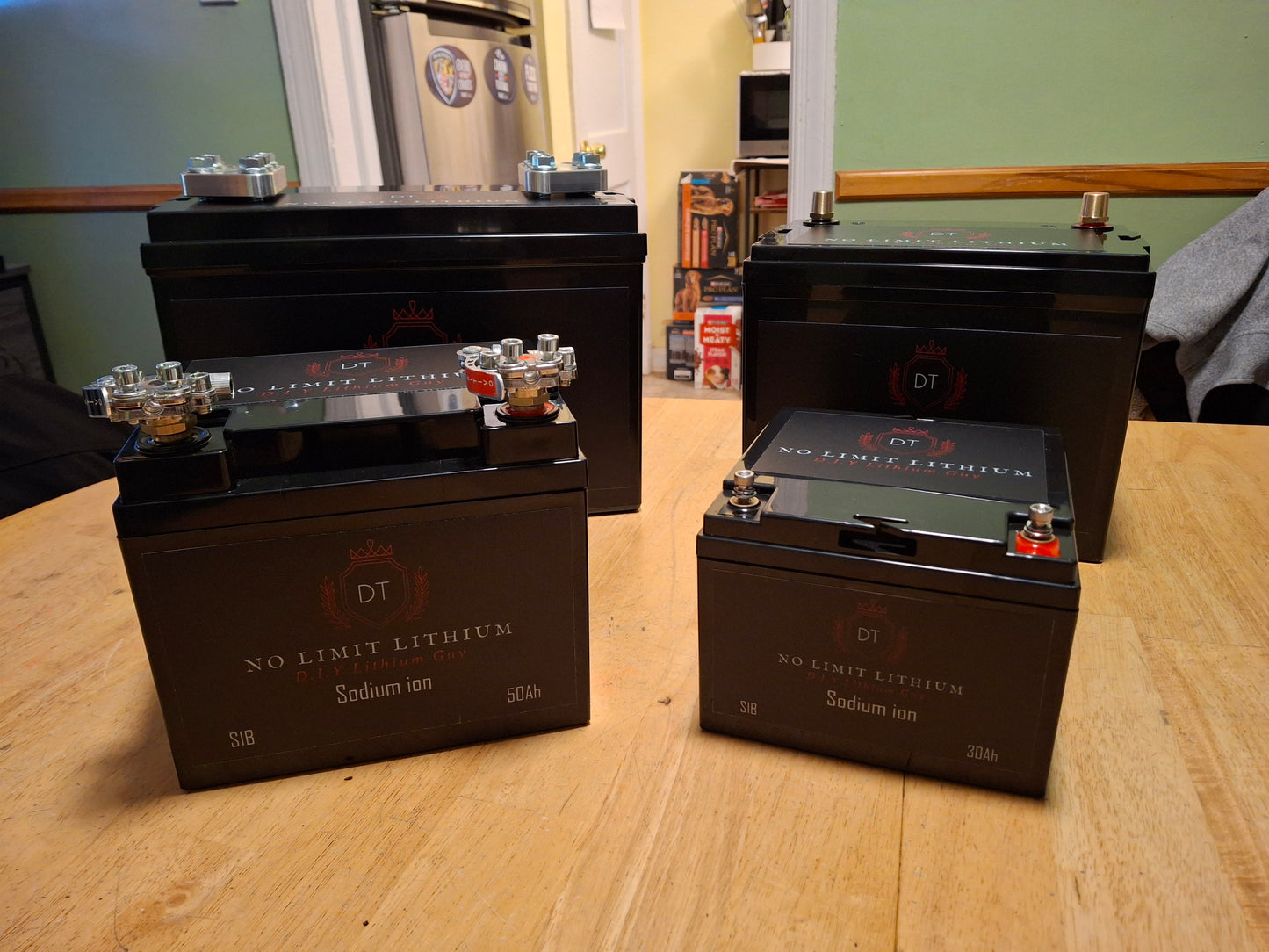50ah Sodium Ion Battery...CAR AUDIO