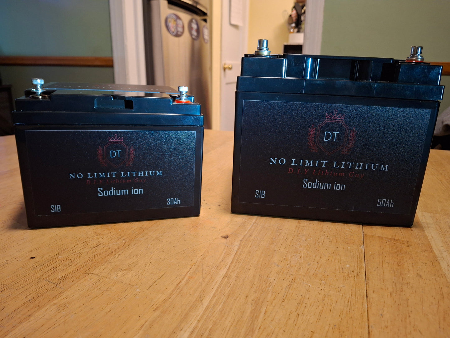 50ah Sodium Ion Battery...CAR AUDIO