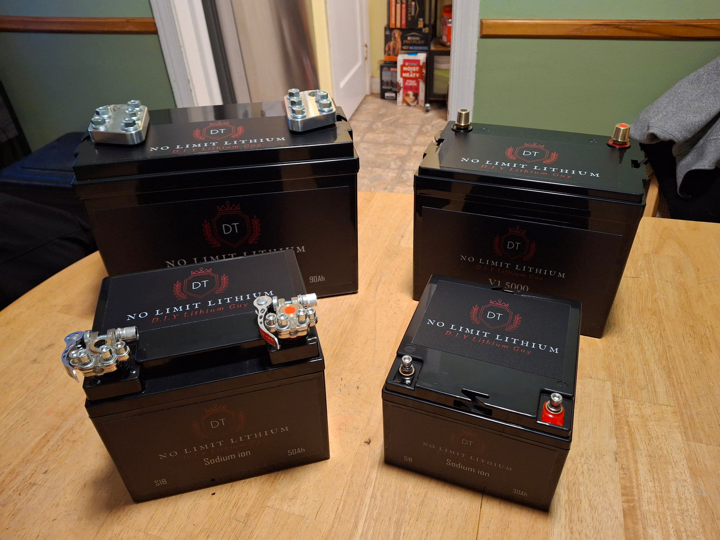 50ah Sodium Ion Battery...CAR AUDIO